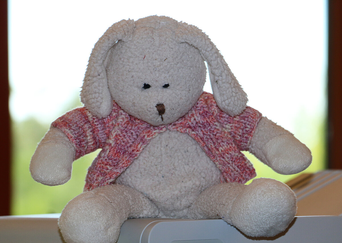 Ein Plüschhase sitzt traurig vor dem Fenster.