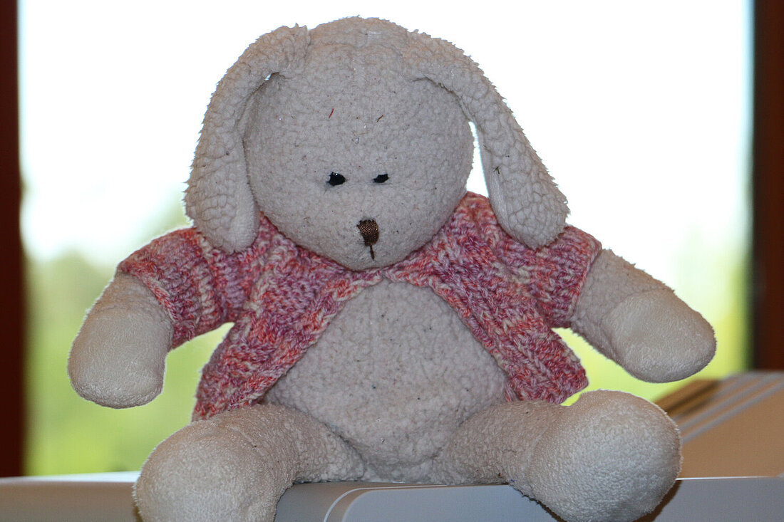 Ein Plüschhase sitzt traurig vor dem Fenster.